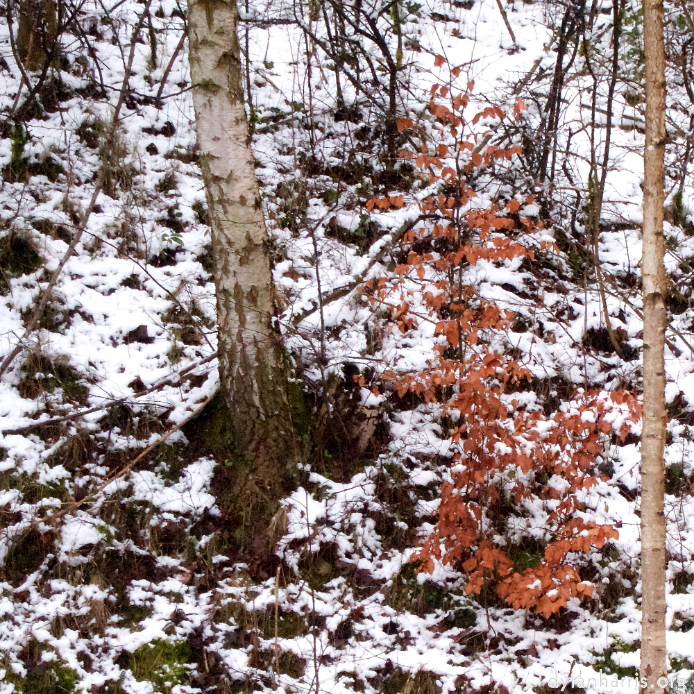 image: This is &lsquo;way to work (v) 3&rsquo;.