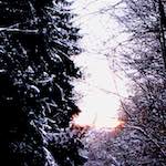 image: Image from the photoset &lsquo;way to work (v)&rsquo;.