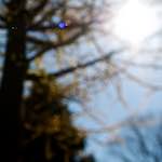 image: Image from the photoset &lsquo;escher blummen (lv)&rsquo;.
