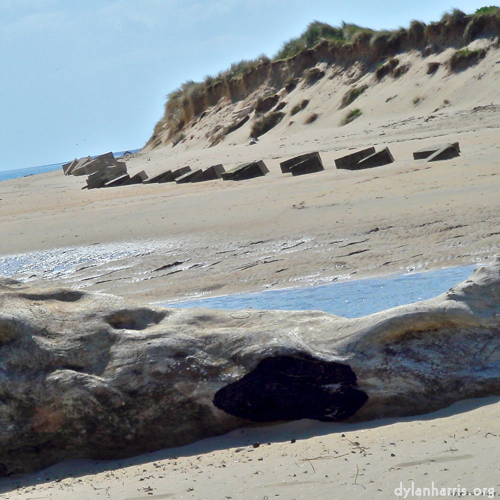 image: This is &lsquo;alnmouth (ii) 2&rsquo;.