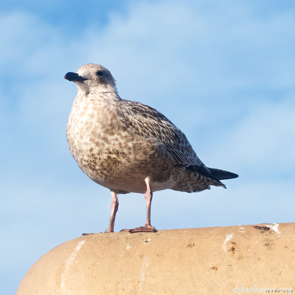 image: This is &lsquo;blackpool (ii) 2&rsquo;.