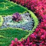 image: Image from the photoset &lsquo;flower (vi)&rsquo;.