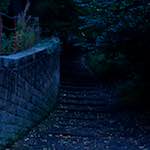 image: Image from the photoset &lsquo;L (ix)&rsquo;.