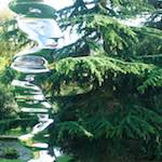 image: Image from the photoset &lsquo;yorkshire (xii)&rsquo;.