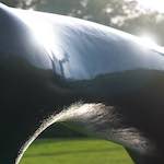 image: Image from the photoset &lsquo;yorkshire (xiv)&rsquo;.
