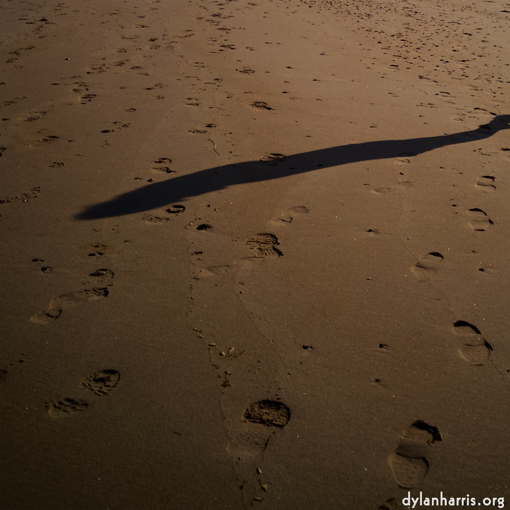 image: This is &lsquo;alnmouth (iii) 1&rsquo;.