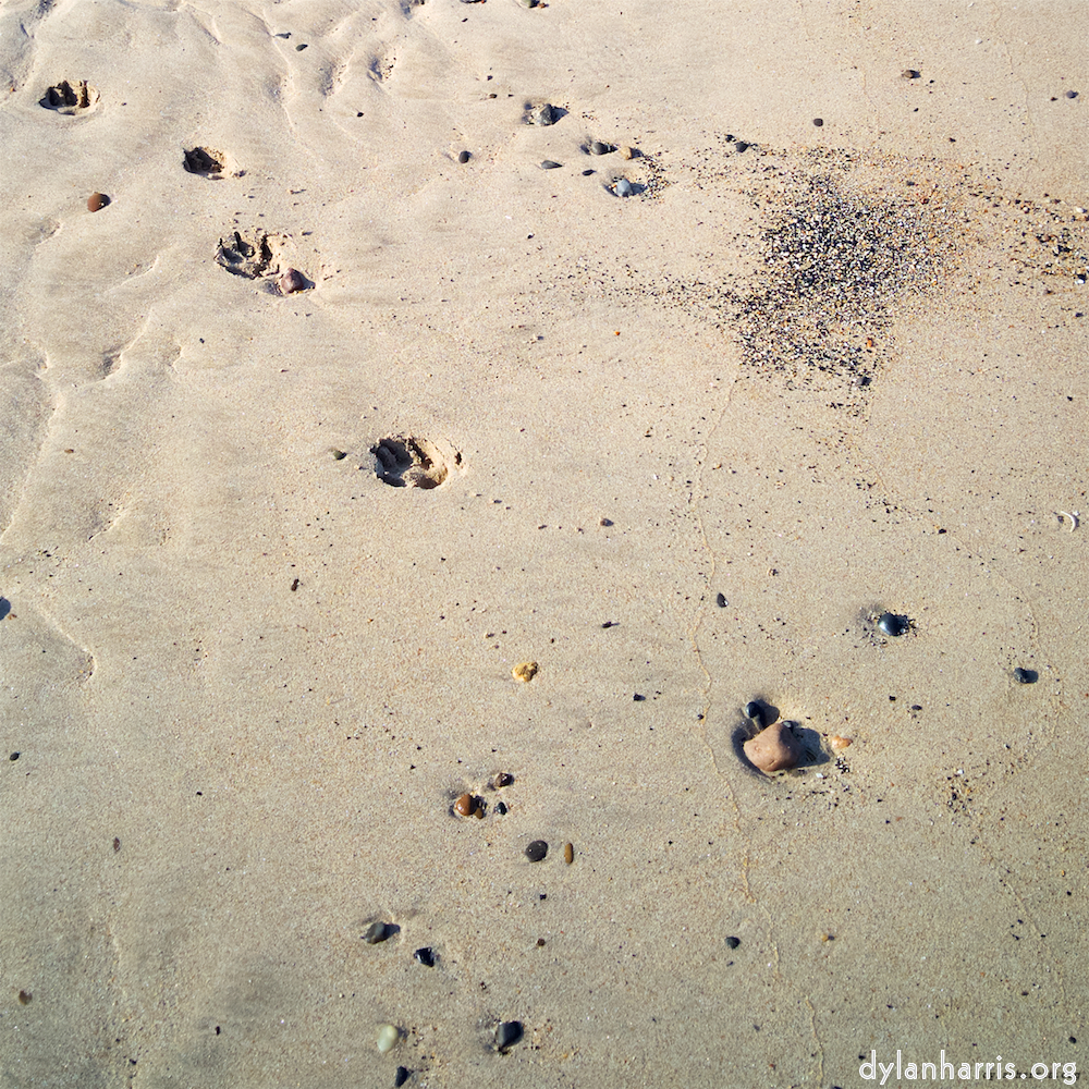 image: This is &lsquo;alnmouth (iii) 3&rsquo;.