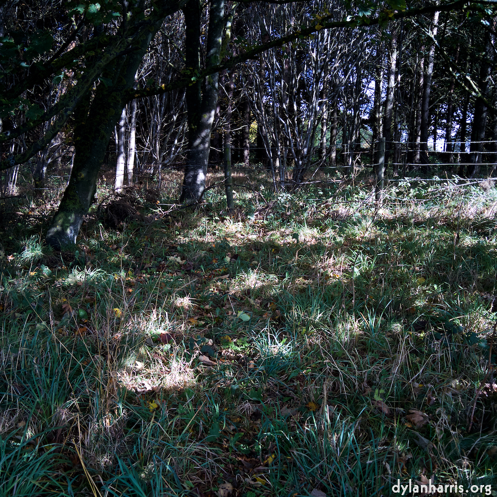 image: This is &lsquo;north (iv) 1&rsquo;.