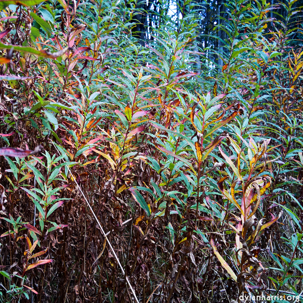 image: This is &lsquo;north (iv) 2&rsquo;.