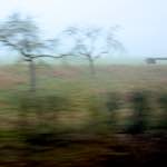 image: Image from the photoset &lsquo;way to work (v)&rsquo;.