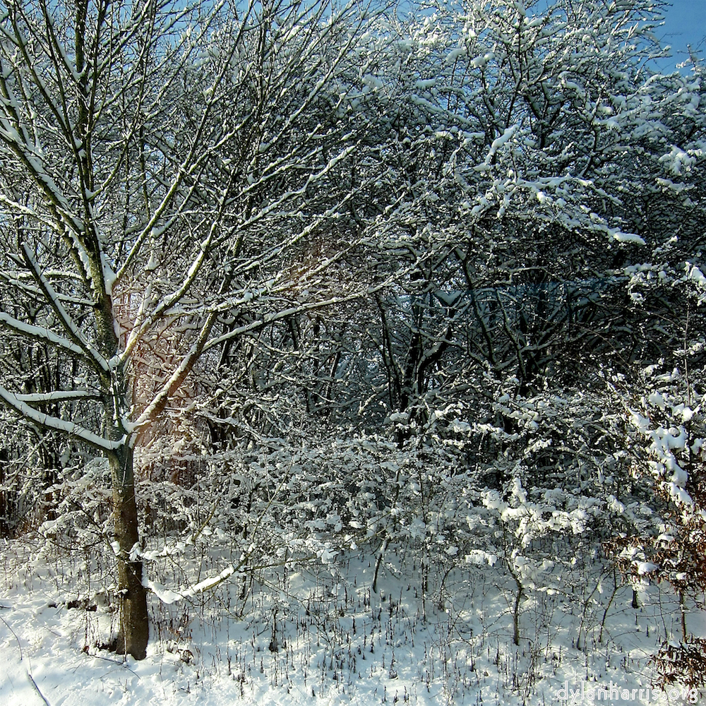 image: This is &lsquo;way to work (viii) 9&rsquo;.