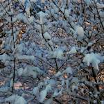 image: Image from the photoset &lsquo;way to work (viii)&rsquo;.