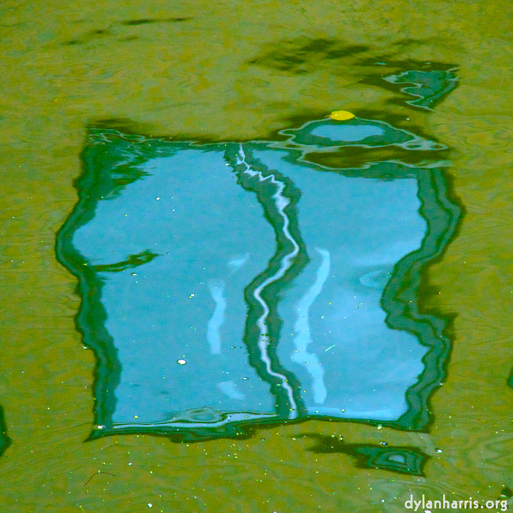 image: an image
