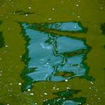 image: Image from the photoset &lsquo;utrecht (viii)&rsquo;.
