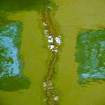 image: Image from the photoset &lsquo;utrecht (viii)&rsquo;.