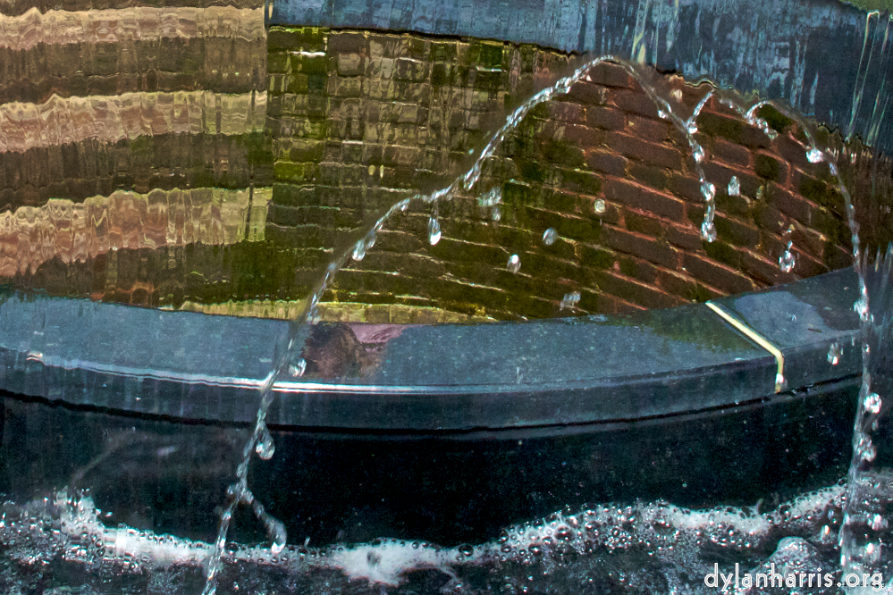 image: This is &lsquo;alnwick 13&rsquo;.