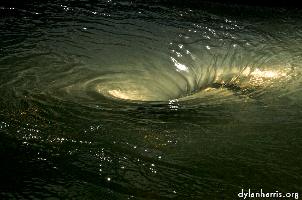 image: This is &lsquo;alnwick 9&rsquo;.