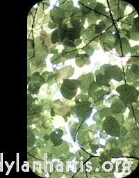 image: This is &lsquo;front (i) 14&rsquo;.