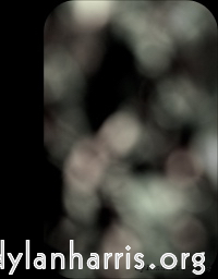 image: This is &lsquo;front (i) 16&rsquo;.