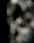 image: Image from the photoset &lsquo;front (i)&rsquo;.