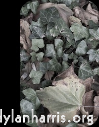 image: This is &lsquo;front (ii) 3&rsquo;.