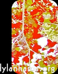 image: This is &lsquo;front (ii) 4&rsquo;.