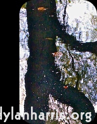 image: This is &lsquo;front (ii) 6&rsquo;.