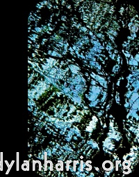 image: This is &lsquo;front (iii) 3&rsquo;.