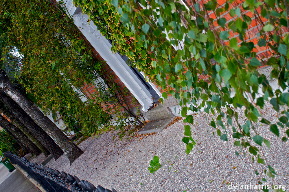 image: This is &lsquo;dublin (iv) 6&rsquo;.