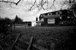 image: Image from the photoset &lsquo;home&rsquo;.