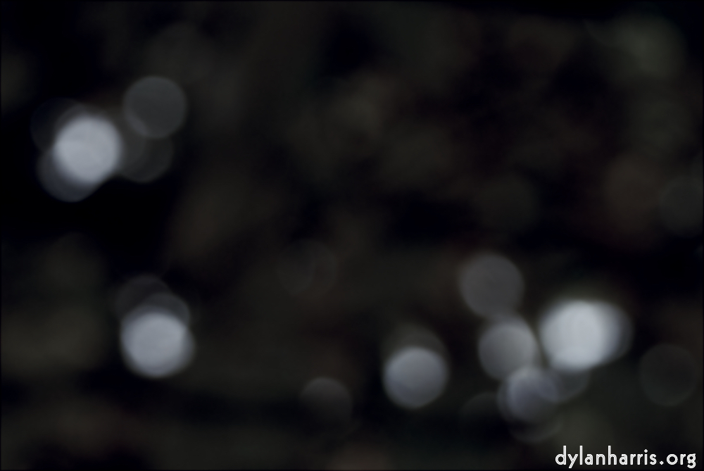 image: This is &lsquo;leaf (ii) 2&rsquo;.