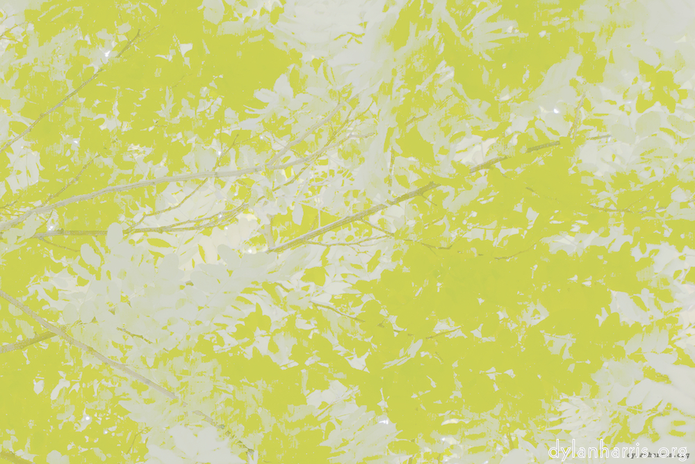 image: This is &lsquo;leaf (ii) 4&rsquo;.