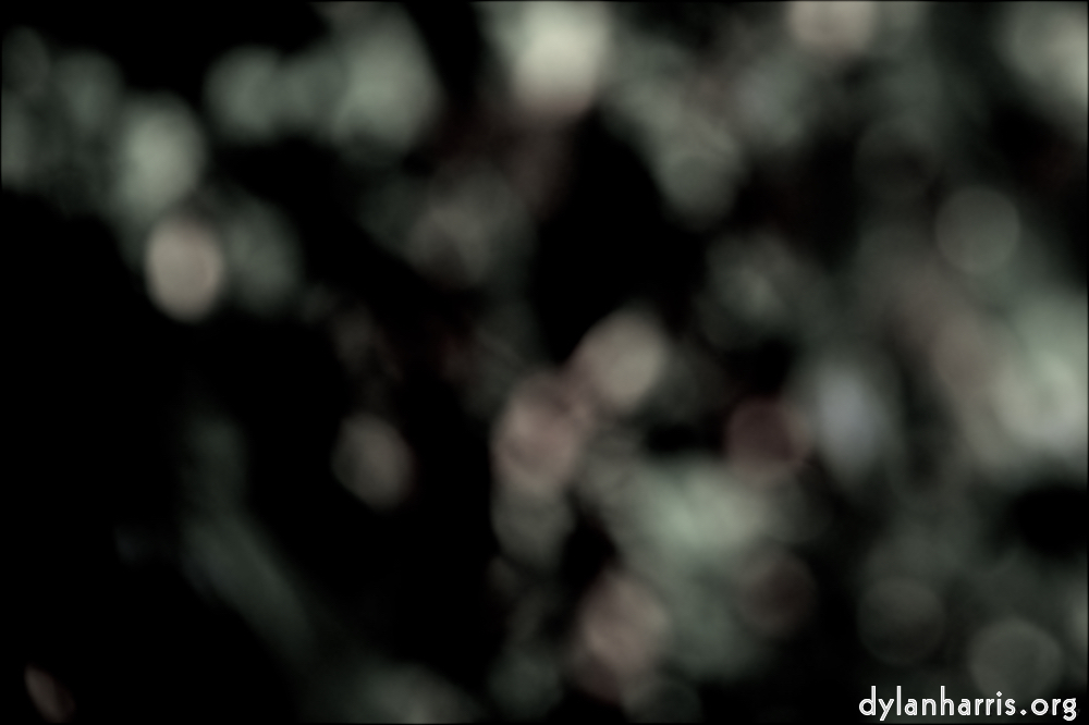 image: This is &lsquo;leaf (ii) 5&rsquo;.