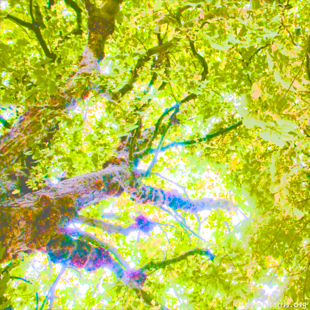 image: This is &lsquo;leaf (ii) 6&rsquo;.