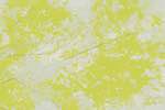 image: Image from the photoset &lsquo;leaf (ii)&rsquo;.