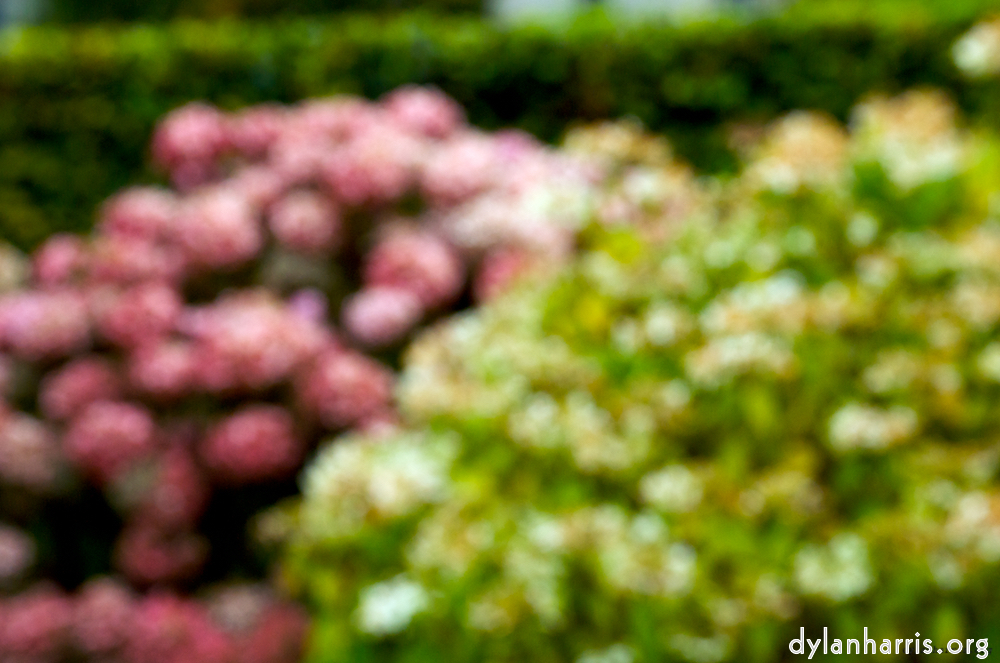 image: This is &lsquo;dublin (v) 3&rsquo;.