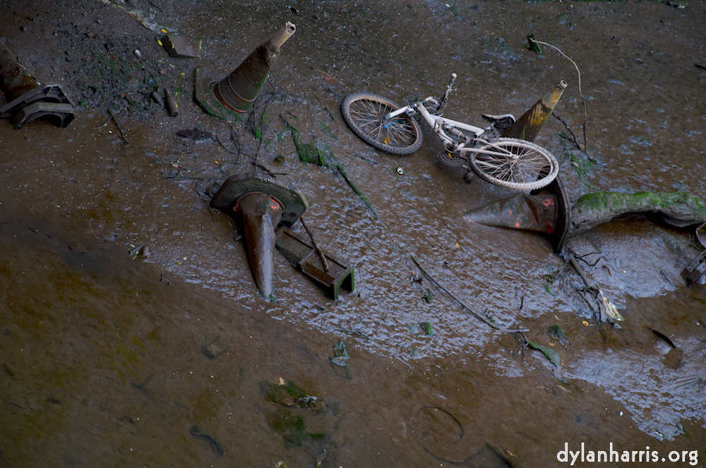 image: This is &lsquo;dublin (v) 9&rsquo;.