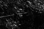 image: Image from the photoset &lsquo;dublin (v)&rsquo;.