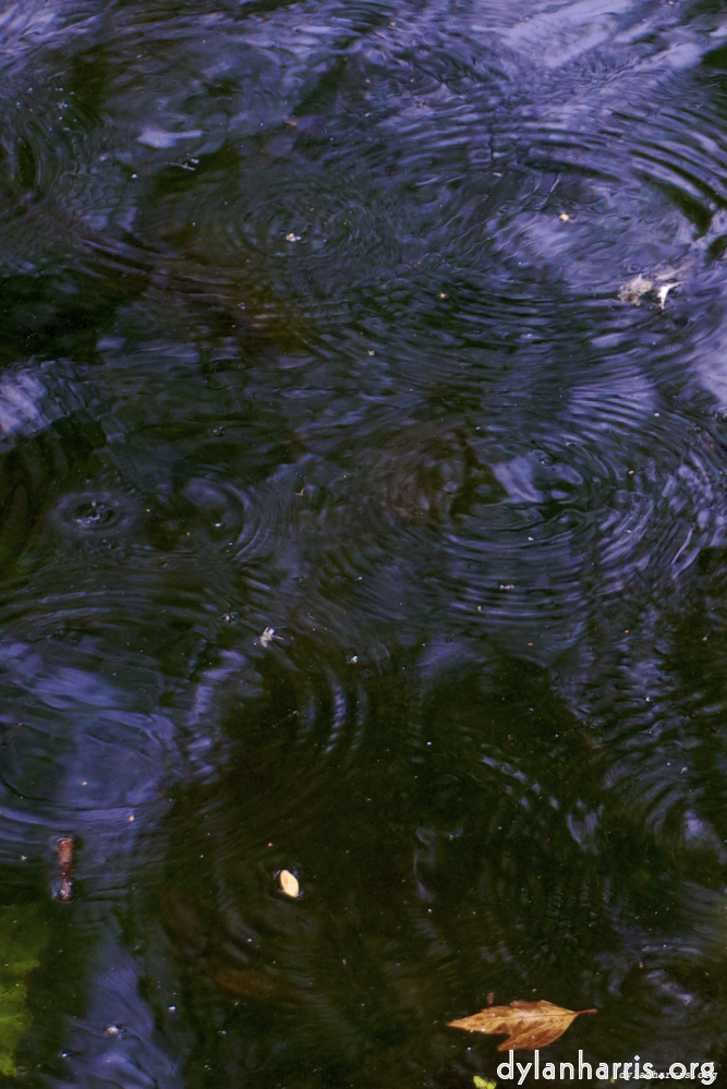 image: This is &lsquo;water (i) 4&rsquo;.