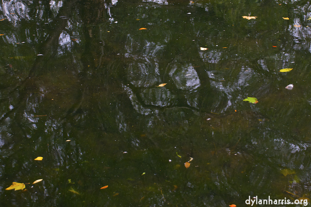 image: This is &lsquo;water (i) 6&rsquo;.