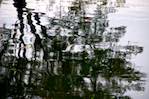 image: Image from the photoset &lsquo;water (i)&rsquo;.