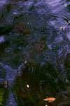 image: Image from the photoset &lsquo;water (i)&rsquo;.