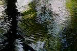image: Image from the photoset &lsquo;water (i)&rsquo;.