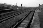 image: Image from the photoset &lsquo;rail&rsquo;.