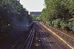 image: Image from the photoset &lsquo;rail&rsquo;.