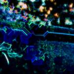 image: Image from the photoset &lsquo;glow (i)&rsquo;.