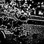 image: Image from the photoset &lsquo;glow (i)&rsquo;.