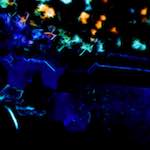 image: Image from the photoset &lsquo;glow (i)&rsquo;.