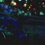 image: Image from the photoset &lsquo;glow (ii)&rsquo;.
