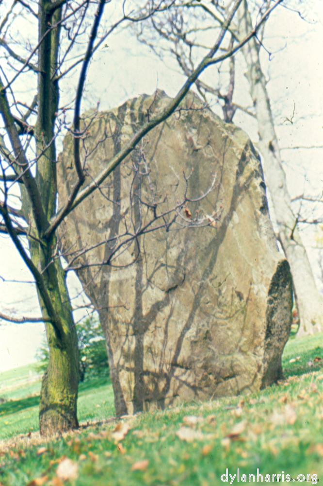 image: This is &lsquo;sculpture 4&rsquo;.